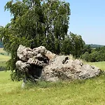 Апартаменты Obermaier Бад-Бирнбах
