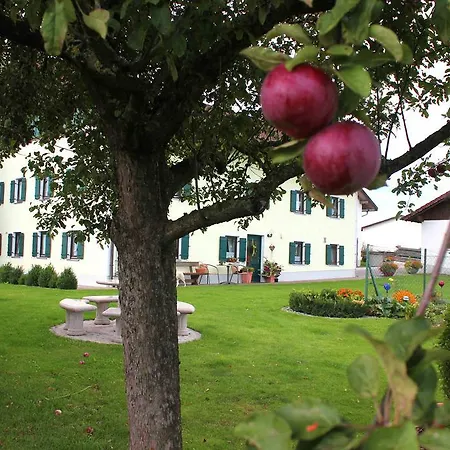 Apartment Obermaier *